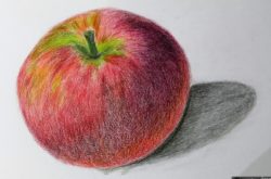 the-blushing-apple-1